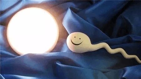男科